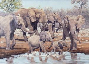 SCOTT Lindsay B. 1955,Elephants,Jackson Hole US 2023-09-16