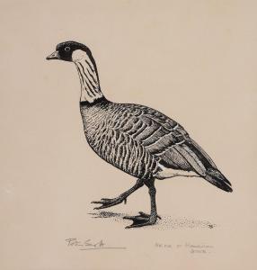 SCOTT Peter Markham 1909-1989,Hawaiin goose,Dreweatts GB 2015-07-08