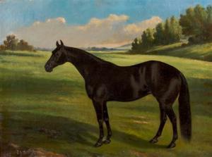 SCOTT Thomas J,Portrait of a Horse,1884,Hindman US 2009-12-13