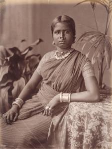 SCOWEN CHARLES T. 1852-1948,Tamil,Finarte IT 2022-04-29