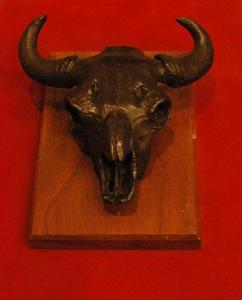 SCRIVER Robert 1914-1999,Buffalo Skull,Altermann Gallery US 2010-03-27