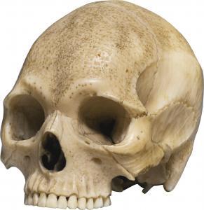 SCUOLA GIAPPONESE,OKIMONO OF A SKULL,Sotheby's GB 2017-07-06