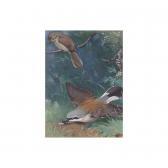 SEABY Allen William 1867-1953,a red-backed shrike,Sotheby's GB 2002-11-06