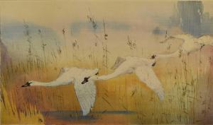 SEABY Allen William 1867-1953,Mute Swans in Flight,Halls GB 2024-02-07