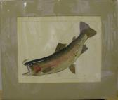 SEAGEARS Clay T 1900-1900,RAINBOW TROUT,1961,William Doyle US 2002-10-29