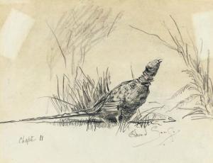 SEAGO Edward Brian 1910-1974,illustrations of birds for 'I Walked by Night',Christie's GB 2011-01-11