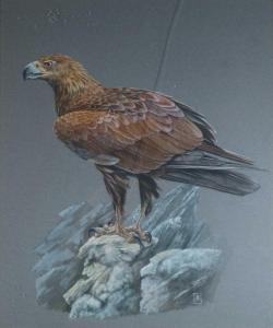 SEAGROVE Mervyn 1924,A Standing Eagle on a Rocky Crag,20th century,Halls GB 2020-11-04