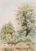 SEDGWICK R. M,Trees and meadow stream,Bonhams GB 2009-08-19