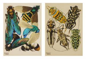 SEGUY Emile Alain 1877-1951,Insectes 2,Rachel Davis US 2023-09-30