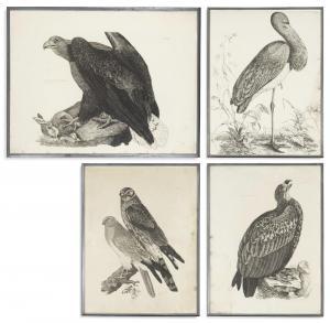 SELBY Prideaux John 1788-1867,Birds,Christie's GB 2018-08-22