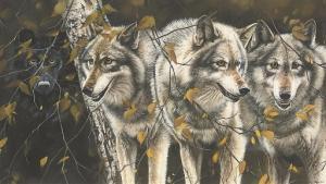 SELLEY Lindsey 1900-1900,Four wolves,2000,Christie's GB 2007-11-07