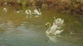 SENET Y PEREZ Rafael 1856-1926,Swans in the Giardino del Lago,Palais Dorotheum AT 2013-12-11