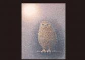 SEO Kazuyoshi,Owl,Mainichi Auction JP 2009-09-02