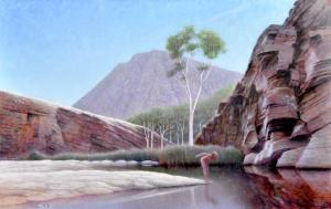 SERELIS Vytas 1946,Swimming At The Gorge, Kimberleys,1993,Elder Fine Art AU 2021-09-06