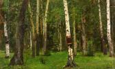 SERGEYEV Nicolai 1908-1989,Birch Trees,1957,Shapiro Auctions US 2020-03-21