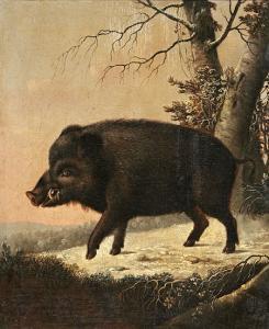 SEYFERT Eloy 1790-1825,Retrato de un jabalí cazado por el Conde de Darmstadt,Balclis ES 2008-03-11