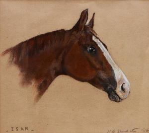 SHACKLETON John,Study of a horse's head - 'Isar',Mallams GB 2016-07-14