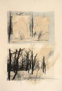 SHAHAL Hagit 1950,Forest,1975,Kedem IL 2013-02-13