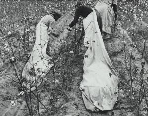 SHAHN Ben 1898-1969,Cotton Pickers,1935,Phillips, De Pury & Luxembourg US 2024-04-04