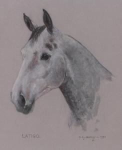 SHARPLEY C.A,Portrait of a horse,1990,Burstow and Hewett GB 2017-03-01