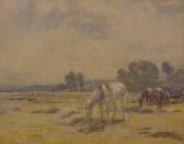 SHAW Arthur Winter 1869-1948,Horses Grazing in a Field,John Nicholson GB 2020-07-17