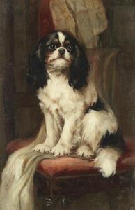 SHAW Hugh George 1873-1889,Cavalier King Charles Spaniel,Bonhams GB 2019-11-12