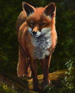 SHAW Joy,fox,Gilding's GB 2014-03-04