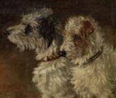 SHAW L 1900-1900,A study of two wirehaired terriers,1906,Halls GB 2011-11-02
