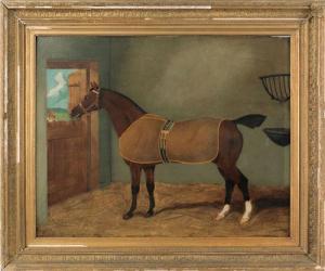 SHAW T,equestrian portrait,Pook & Pook US 2011-01-15