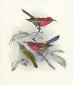 SHELLEY George Ernest,A Monograph of the Nectariniidae, or Family of Sun-Birds,Bonhams GB 2014-12-03