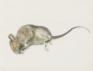 SHEPARD Ernest Howard 1879-1976,Mouse,Christie's GB 2008-12-18