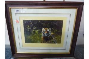 SHEPHERD David 1931-2017,Cool Tiger,Richard Winterton GB 2015-08-25