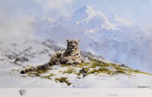 SHEPHERD David 1931-2017,Snow Leopard,Charterhouse GB 2010-01-22