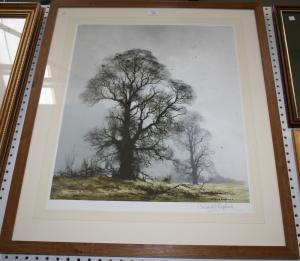 SHEPHERD David 1931-2017,View of Trees,Tooveys Auction GB 2011-10-05