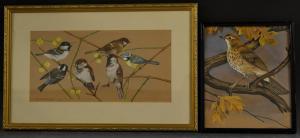SHEPHERD Eric,Garden Birds,1977,Bamfords Auctioneers and Valuers GB 2017-05-24