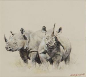 SHEPHERD Mandy E 1960-1900,Two Rhinos,Rosebery's GB 2023-03-14