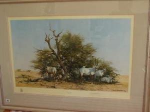 SHEPPARD David,Arabian Oryx,Cameo Auctioneers and Valuers GB 2009-08-18