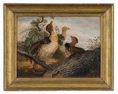 SHEPPARD EDWIN 1800-1800,BIRD PAINTING,1858,Cowan's US 2010-02-20