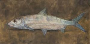 SHEPPARD Peter 1973,Bonefish,Copley US 2022-07-14