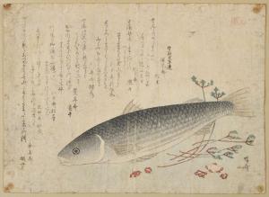 SHINSAI Ryuryukyo 1799-1823,Carpe couchée,Beaussant-Lefèvre FR 2024-02-02