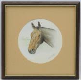 Shirley Jane 1900-1900,Horse,Dickins GB 2019-10-18