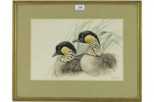 SHIRLEY Valerie,study of ducks,Burstow and Hewett GB 2015-05-27