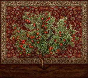 SHOCHAT Tal 1974,Apple Tree with Carpet,2019,Tiroche IL 2023-06-18