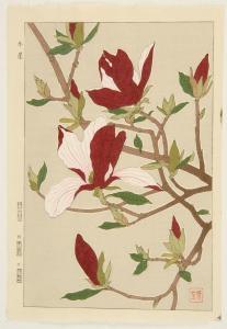 Shodo Kawarazaki 1889-1973,Depicting burgundy-red and variegated magnolia.,Eldred's US 2009-08-25