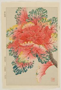 Shodo Kawarazaki 1889-1973,Depicting red kale.,Eldred's US 2009-08-25