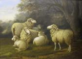 SHOOSMITH Decimus,Sheep by a slatted gate,1878,Moore Allen & Innocent GB 2017-07-07