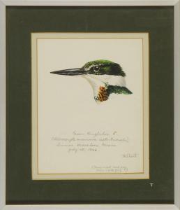 SHORTT Terence Micheal 1910-1986,Green Kingfisher,Eldred's US 2011-06-29