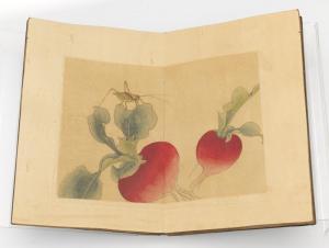 SHUAIZU Chen 1723-1795,Vegetables and insects,Aspire Auction US 2017-09-09