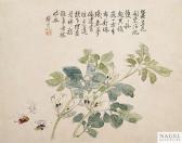 SHUMING WANG,FLOWERS AND INSECTS,Nagel DE 2014-05-09