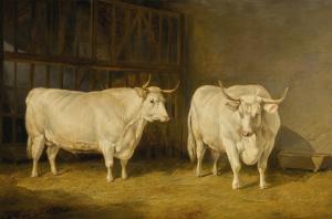 Sidney COOPER Thomas 1803-1902,TWO WHITE OXEN IN A BARN,1837,Sotheby's GB 2018-10-30